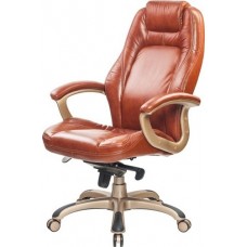  Echair-CS-630E кожа коричн.,пластик